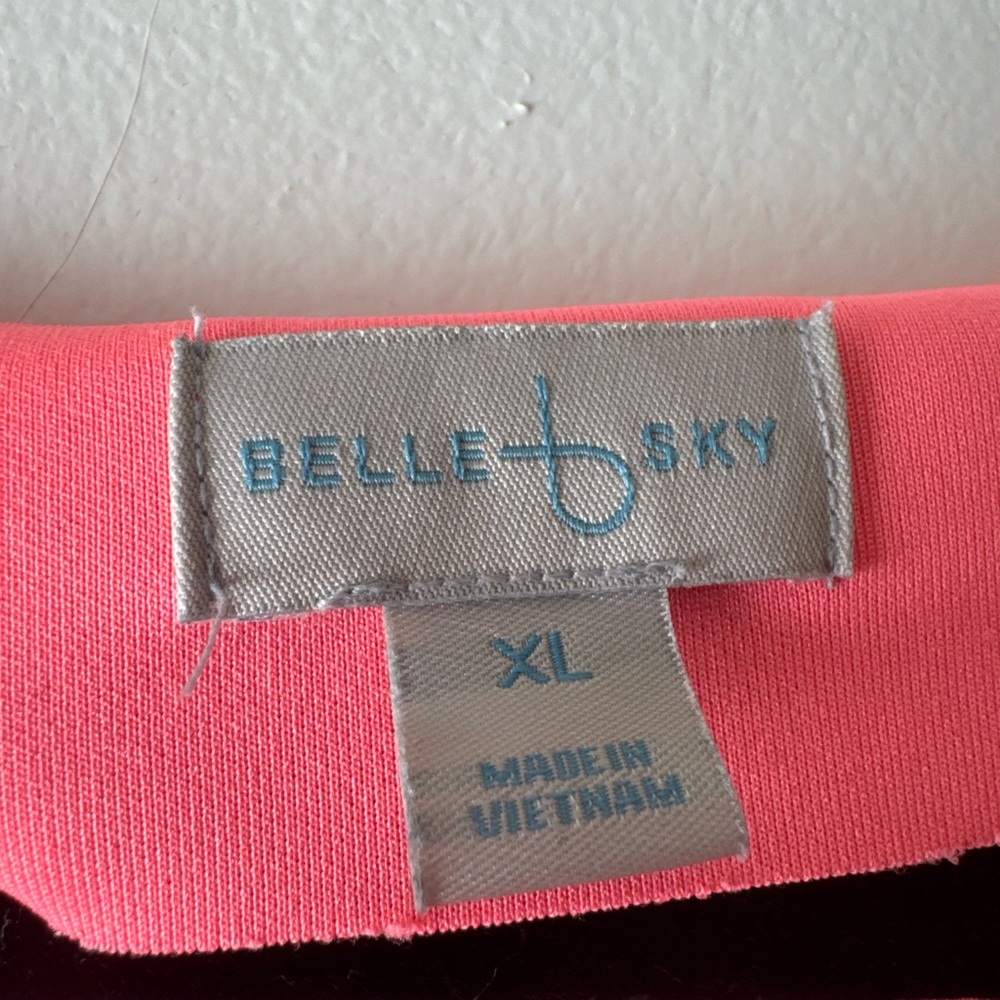 belle sky Coral Pink V-Neck Fit & Flare Midi Dress - Picture 3 of 3